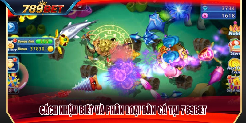 Bắn Cá Theo Đàn 789BET – Cách Chọn Mục Tiêu Ít Hao Đạn 3 Kinh nghiệm nhận diện từng loại đàn cá để lựa chọn mục tiêu