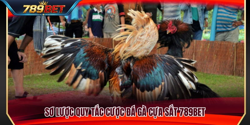 Quy định cơ bản trong đá gà cựa sắt 789BET 