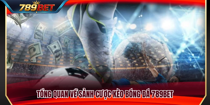 Khám phá thông tin về kèo bóng đá 789BET 