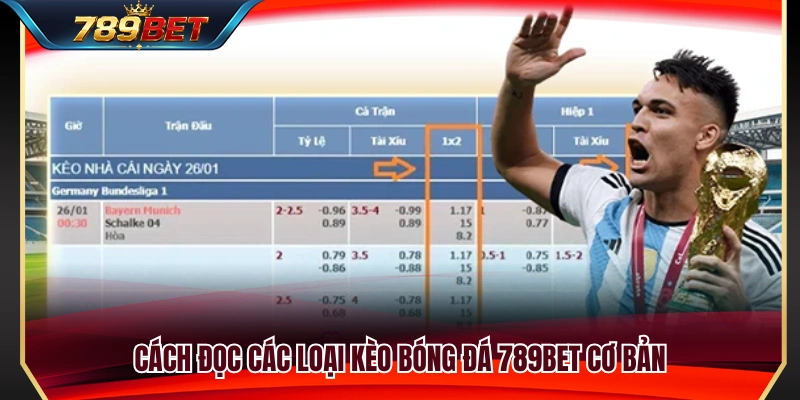 Cách xem tỷ lệ cược bóng đá 789BET dành cho người mới 